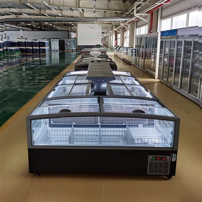 Konbine ekspozisyon frizè